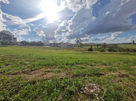 Marilia Jardim Tropical Area Venda R$23.000.000,00 Area do terreno 25798.50m2 Marilia Jardim Tropical Area Venda R$23.000.000,00 Area do terreno 25798.50m2